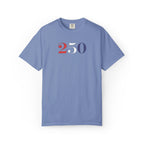 Washed denim embroidered America 250 t-shirt