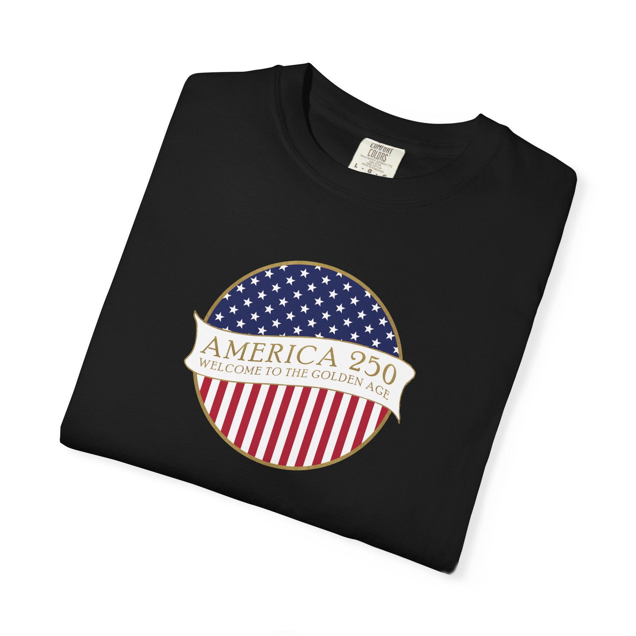 Folded White America 250 Golden Age t-shirt in Black